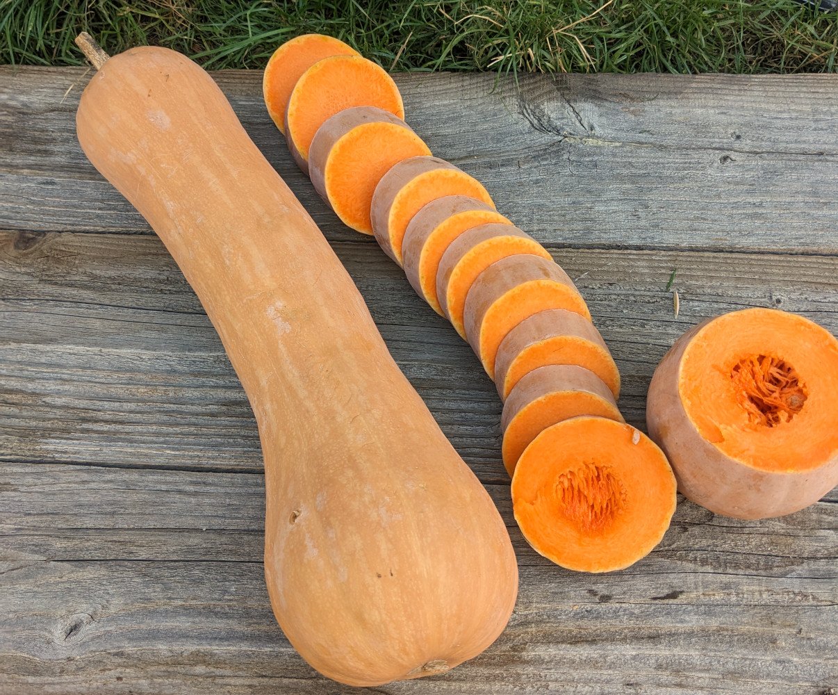 Graines biologiques de Courge "Longue de Nice" Pensez Sauvage — free download