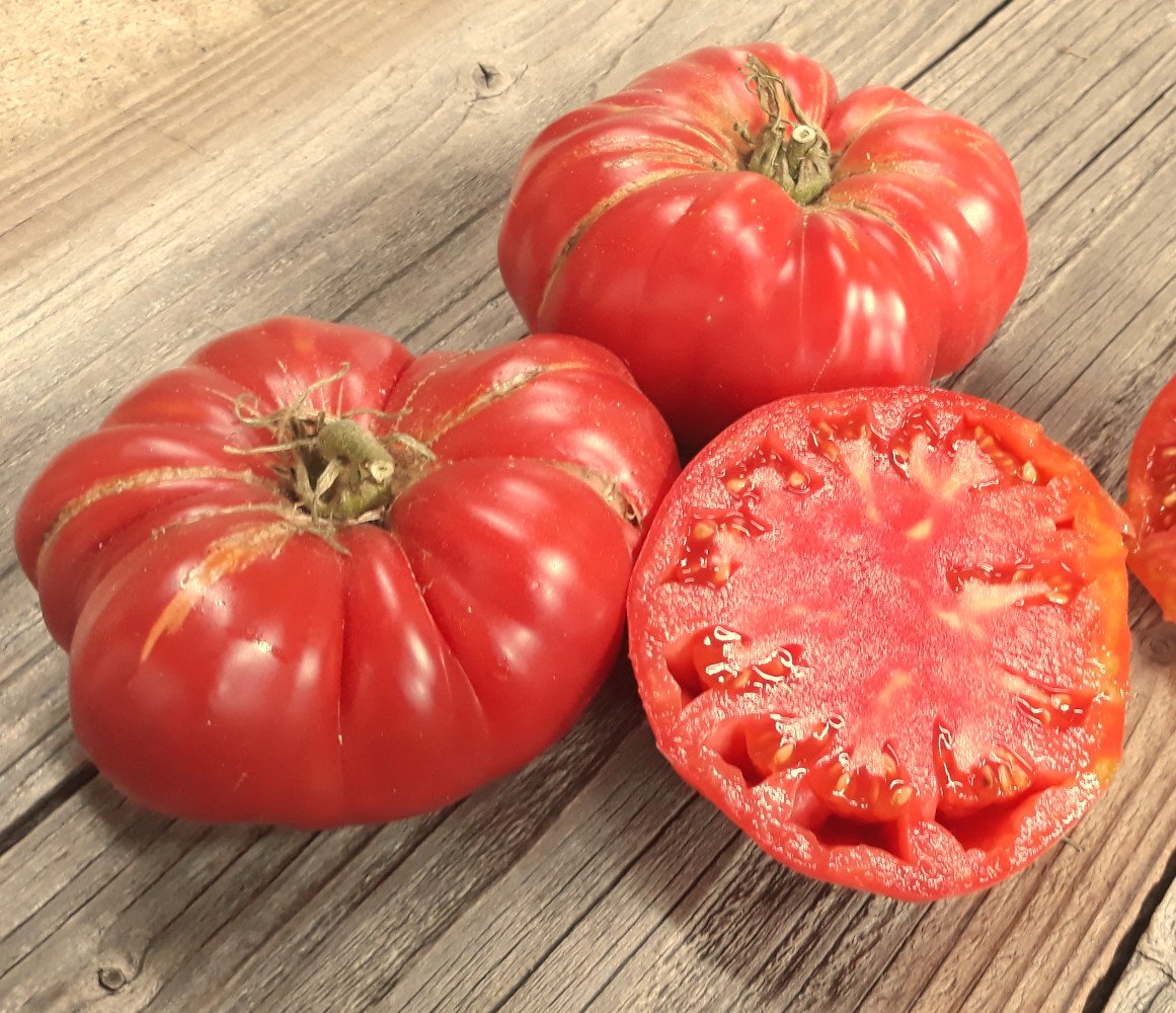 Tomate ancienne 'Black Beauty' - Solanum lycopersicum (graines / seeds)