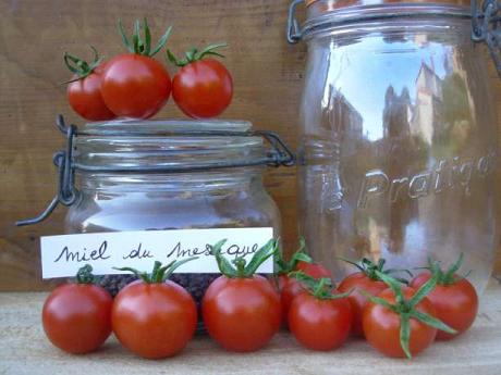 Tomate "Miel du Mexique"