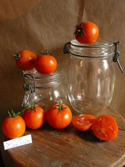 25 graines de Tomate Caro Rich