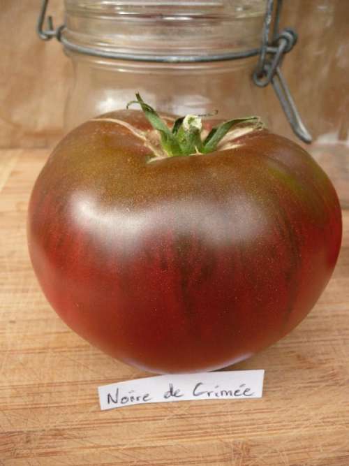 25 graines de Tomate Noire de Crimée