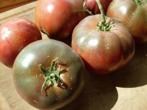 25 graines de Tomate Lila Sari
