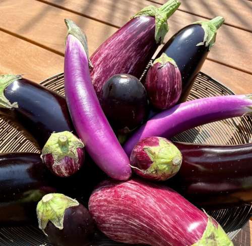 plusieurs aubergines de différentes tailles et couleurs sur une table en bois