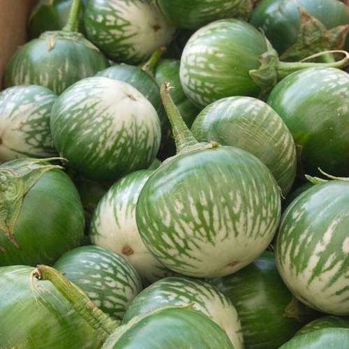 un tas d'aubergines vertes et striées de petites tailles