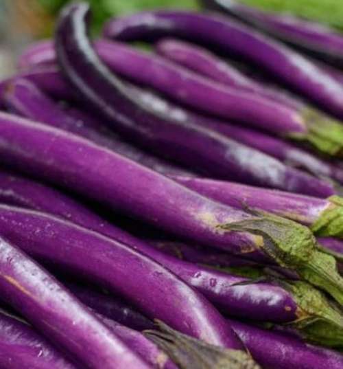 un tas d'aubergines longues et violettes