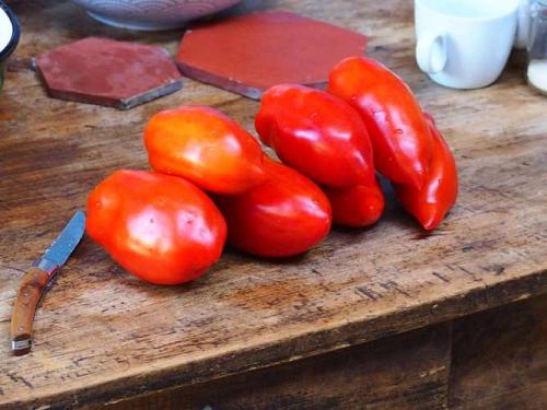 Tomate "Andine cornue"