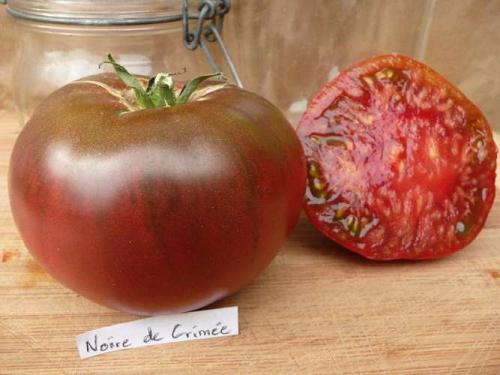 Tomate "Noire de Crimée"