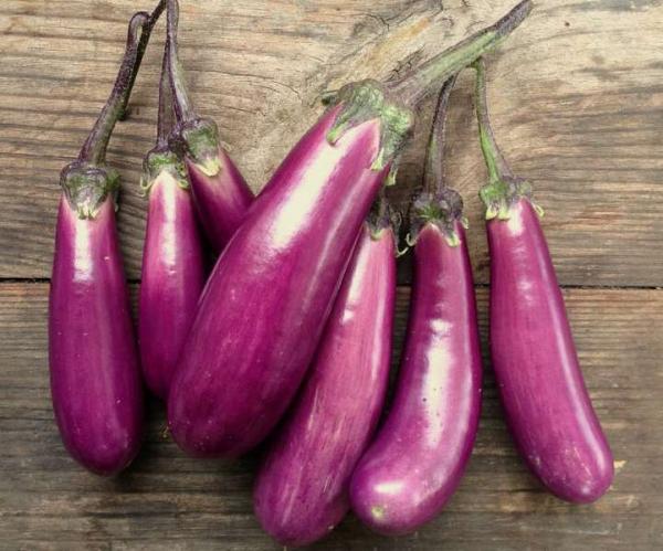Aubergine "slim jim"