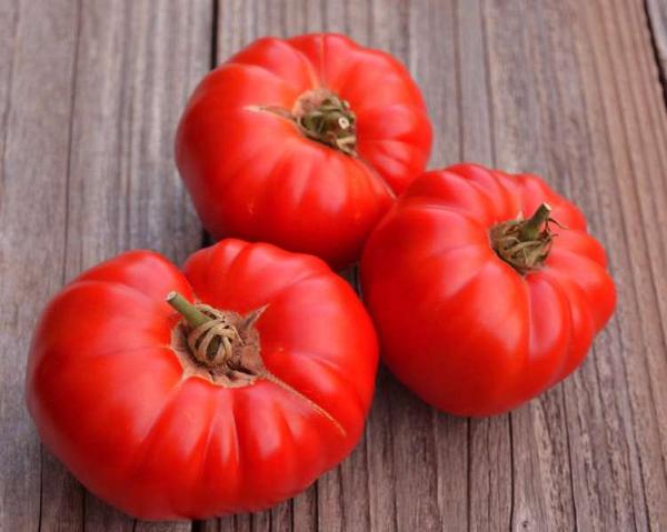 Tomate "Beefsteak"