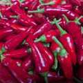 piment z'oiseaux