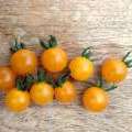 Tomate Yellow Currant