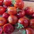 Tomate Tigerette cherry