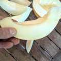 Tavrichanka Melon Ukrainien