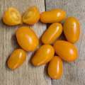 Tomate cerise Yellow Dates