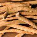ashwagandha racines bio