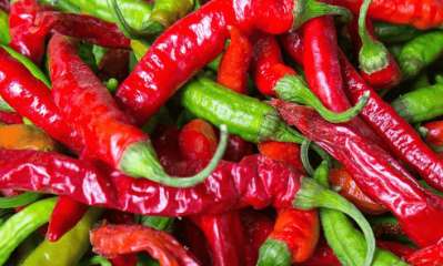 illustration Les risques d'hybridation entre les piments