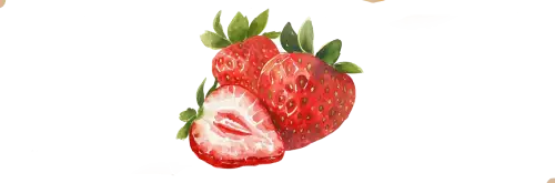 Une aquarelle de fraise