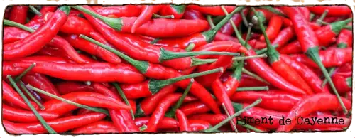 L'image montre un gros tas de piments de Cayenne