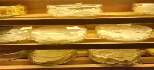 un petit placard bricolé pour servir de testeur de germination