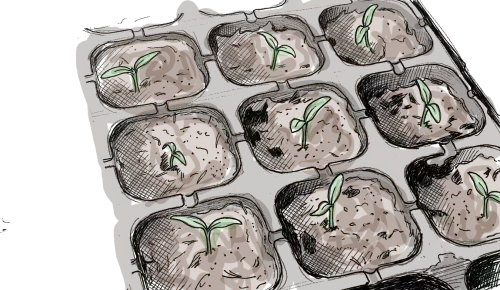 Dessin de plaque de semis avec des toutes petites plantules