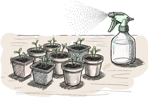 dessin au trait de pot de fleur et d'un pulverisateur sur une table en bois