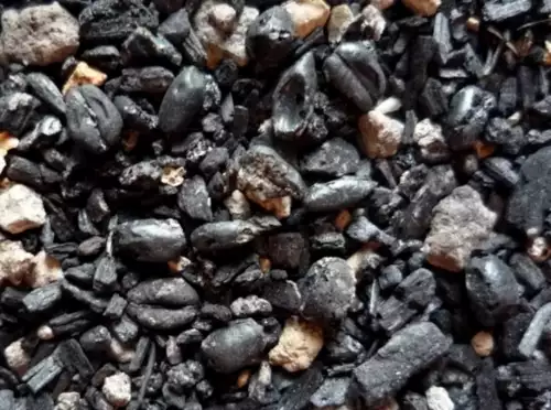 L'image montre des résidu de tamisage, des graines carpo