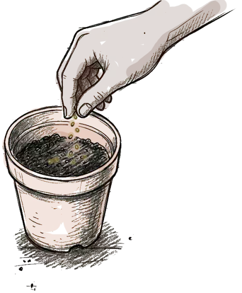 une main qui sème des graines dans un pot en terre ( c'est un dessin)