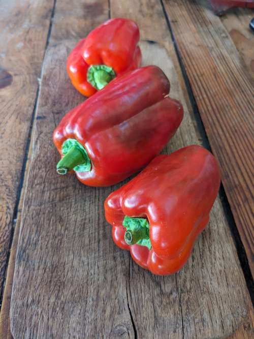 Poivron California Wonder