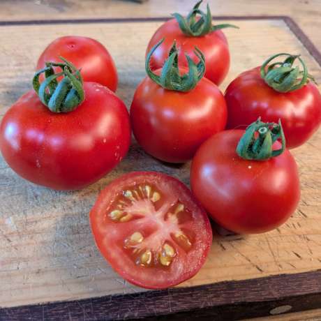 Tomate Vladimir Vysotsky