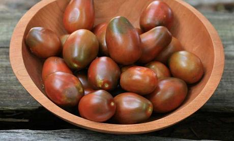 Tomate "Black Plum"