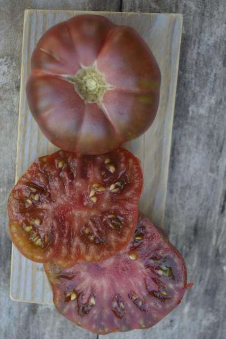 Tomate "Noire de Cosebœuf"