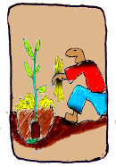 vignette d'un personnage qui paille une plante