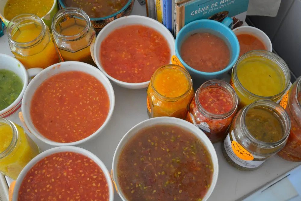Des pots plein de graines de tomates en fermentation