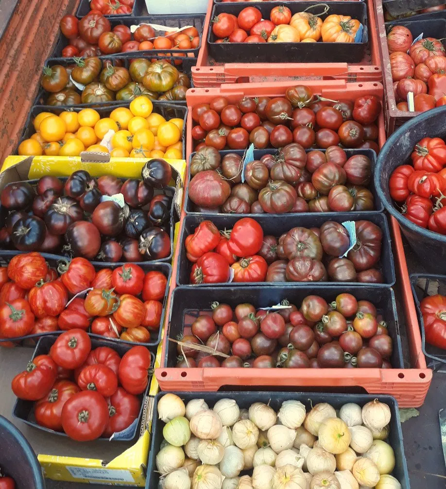 Des caisses de tomates de toutes les formes et de toutes les couleurs