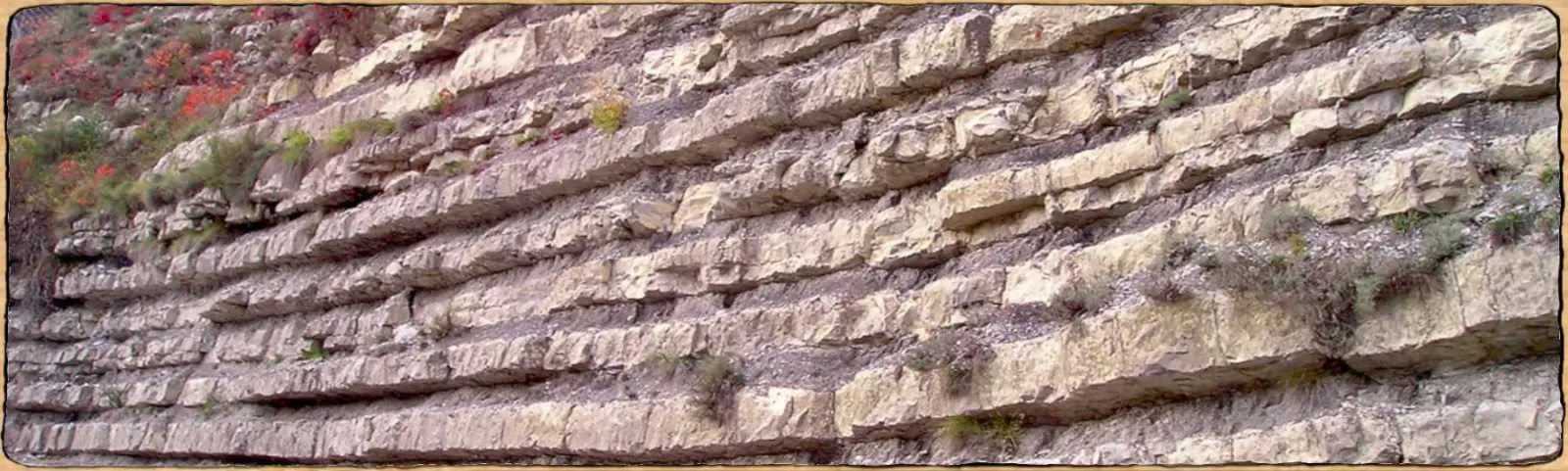 une roche de marne avec des stratification