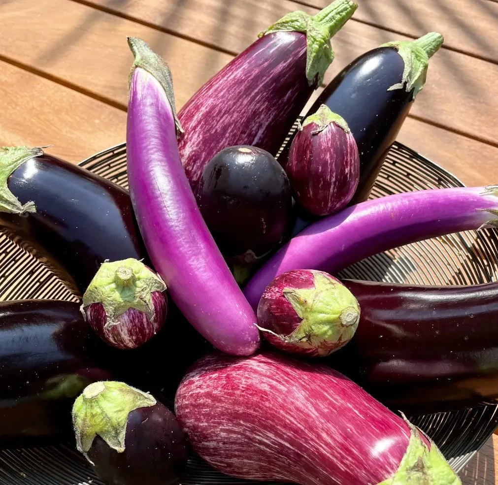 plusieurs aubergines de différentes tailles et couleurs sur une table en bois