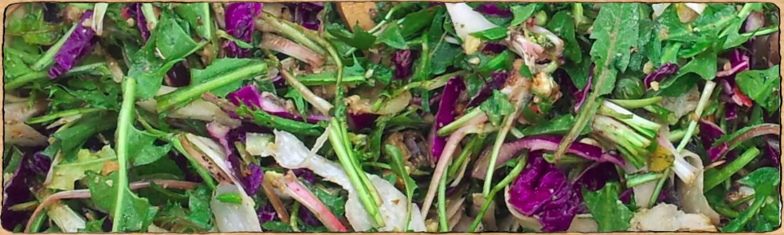 une photo de salade composées de plantes sauvages
