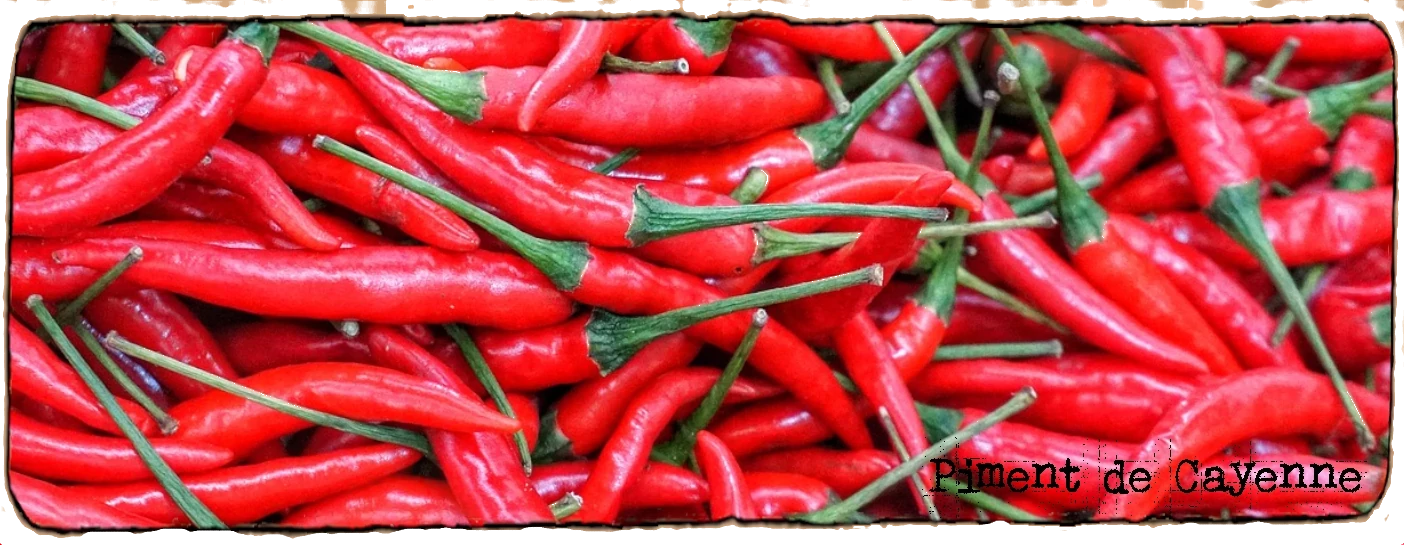 L'image montre un gros tas de piments de Cayenne