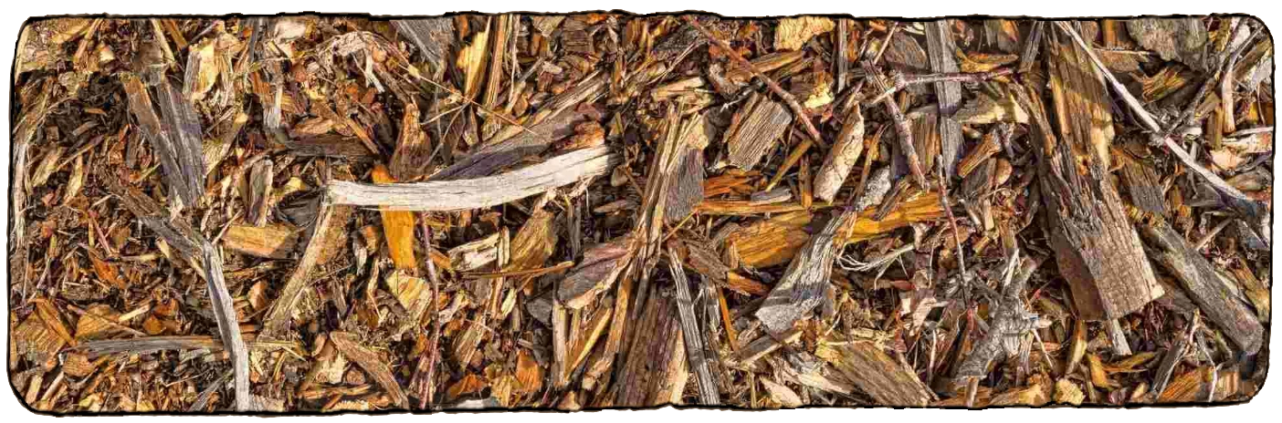 L'image montre du broyat de bois, le fameux BRF