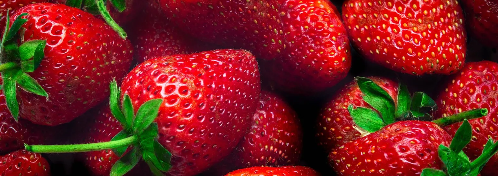 des fraises rouges