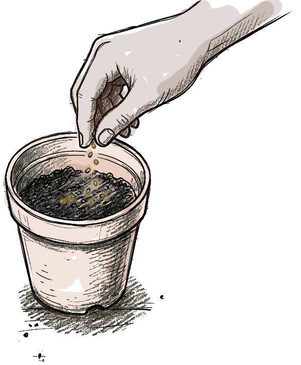 une main qui sème des graines dans un pot en terre ( c'est un dessin)