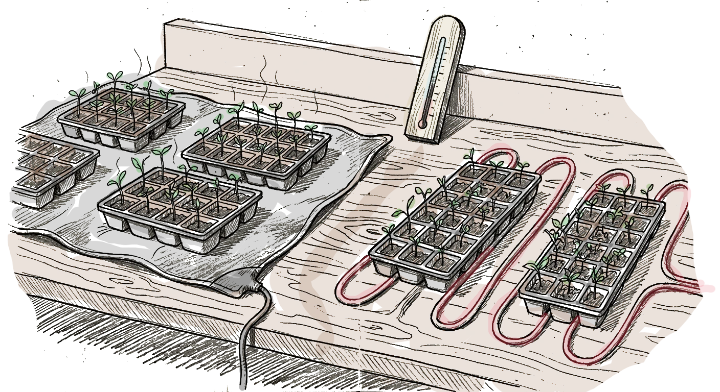 dessin d'une instalation, de tapis chauffant sur lesquels il y a des caissettes de semis