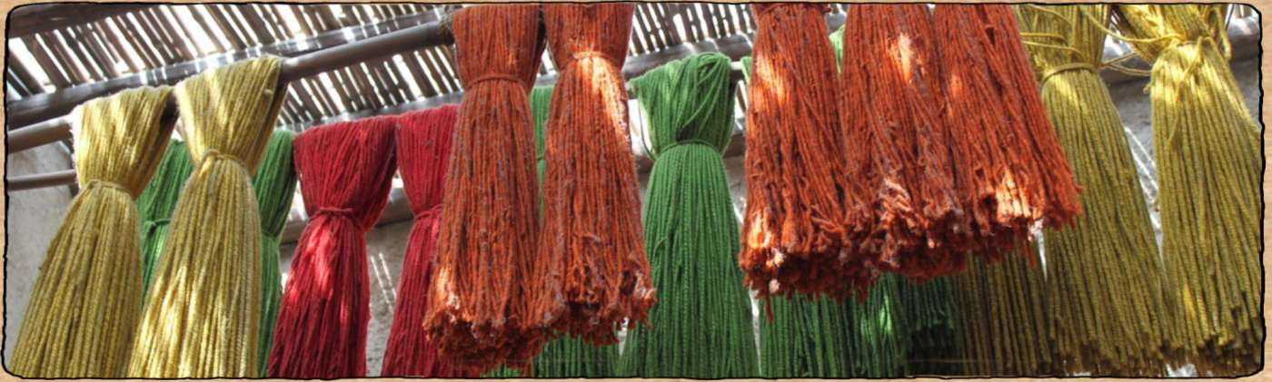 Graines reproductibles de plantes tinctoriales