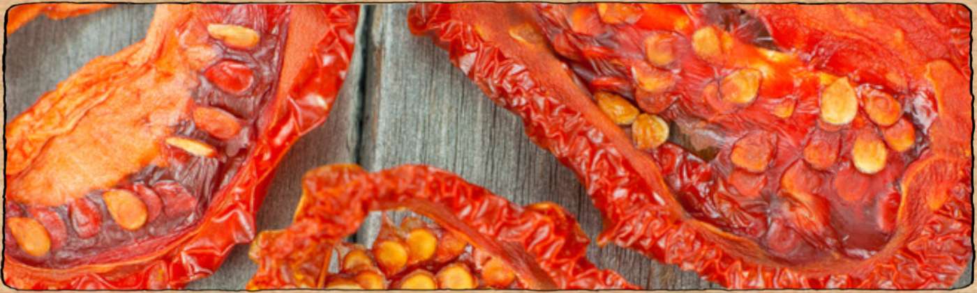 Variété de tomate apte au séchage
