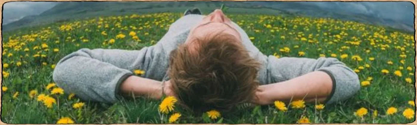 Graines biologiques et reproductibles de légumes, de fleurs ou de fruits pour un jardin de fainéant
