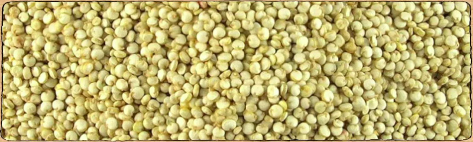 L'image montre des graines de quinoa en gros plan