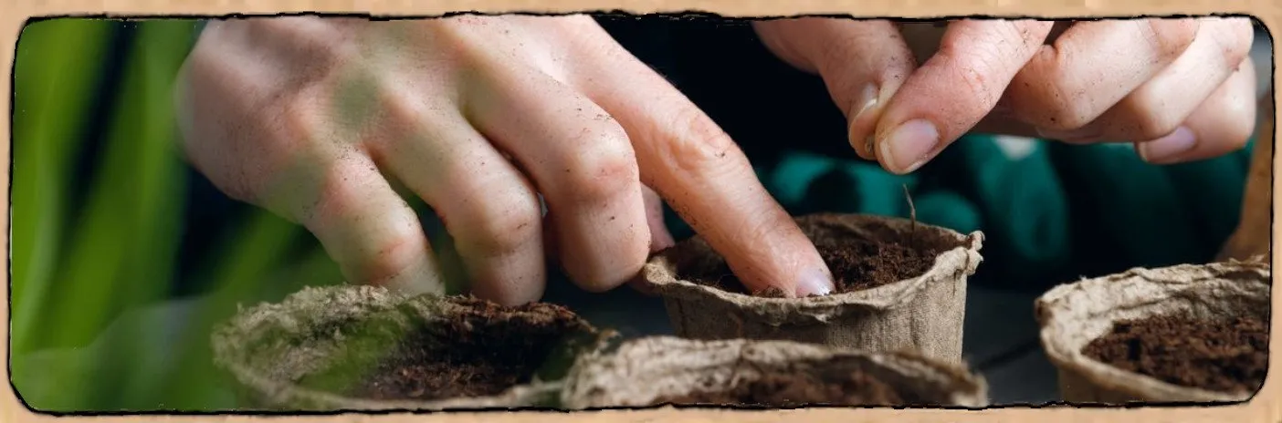 L'image montre un jardinier qui plante des graines