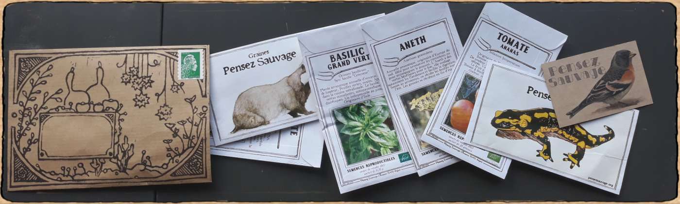 enveloppe et sachets de graines avec une carte de visite