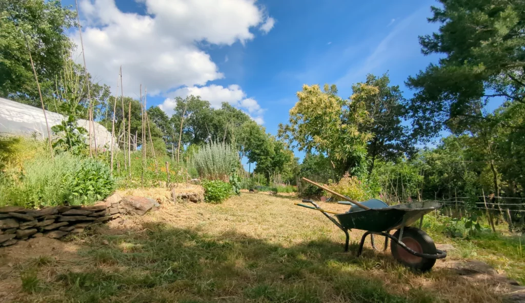 Une brouette dans un jardin en été