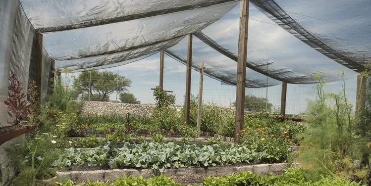 Un voile d'ombrage au dessus d'un potager